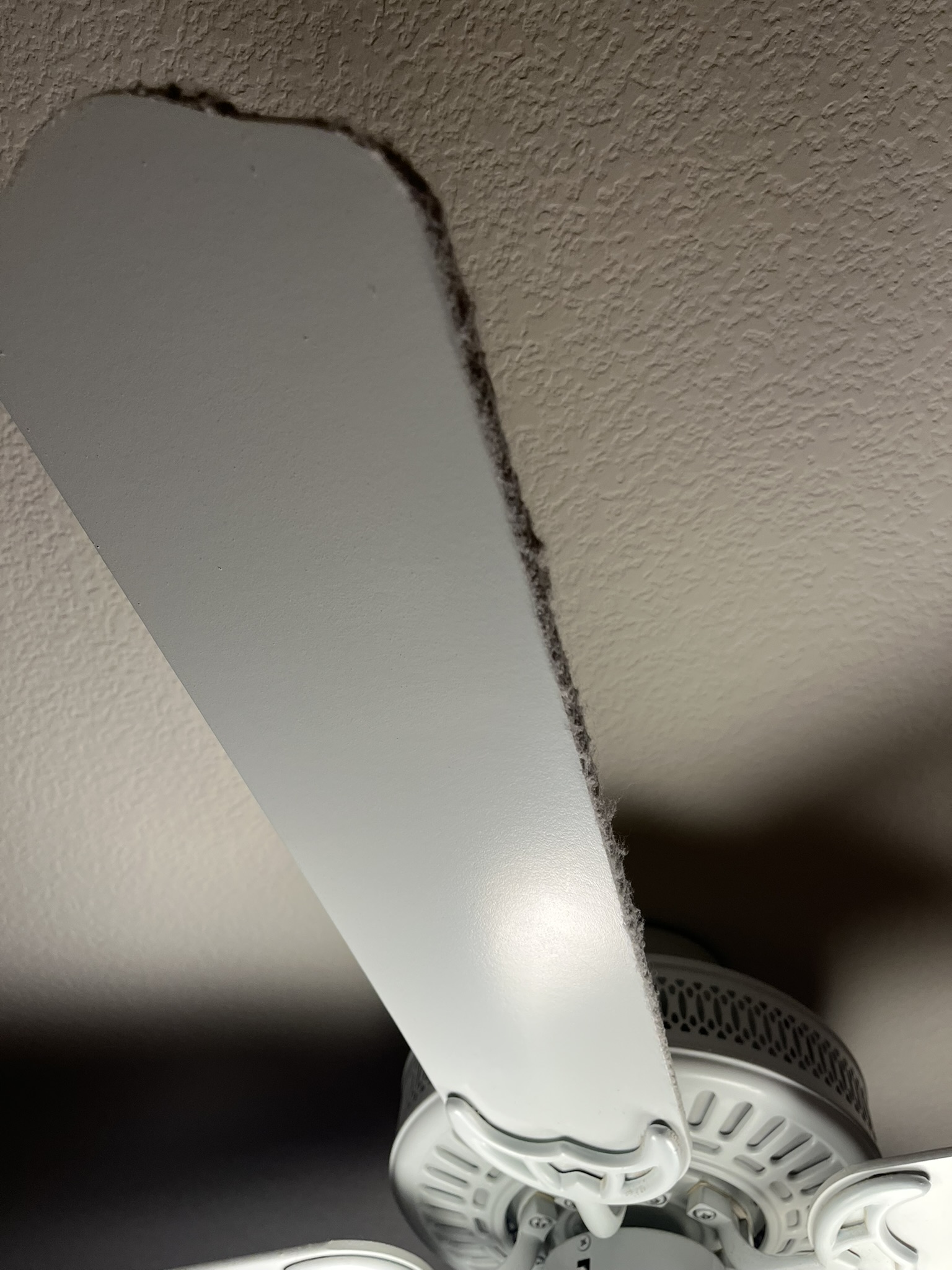 Before image of matters